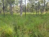 17940 Kennedy Highway, Mount Garnet QLD 4872-Image