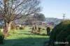 18-20 Foster Street, Railton, Tas 7305-Image