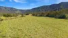 18 Pittionis Road, Netherdale QLD 4756-Image