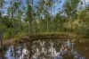 180 Jamieson Road, Glenbar, Qld 4620-Image