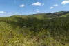 180 Jamieson Road, Glenbar, Qld 4620-Image