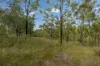180 Jamieson Road, Glenbar, Qld 4620-Image