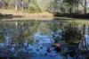 181 Daisy Dell Road, Bororen QLD 4678-Image