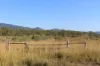 181 Daisy Dell Road, Bororen QLD 4678-Image