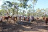 181 Daisy Dell Road, Bororen QLD 4678-Image