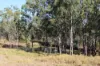 181 Daisy Dell Road, Bororen QLD 4678-Image