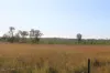 181 Daisy Dell Road, Bororen QLD 4678-Image