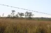 181 Daisy Dell Road, Bororen QLD 4678-Image