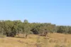 181 Daisy Dell Road, Bororen QLD 4678-Image