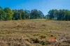 1811 Booral Road, Girvan, NSW 2425-Image