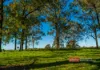 1811 Booral Road, Girvan, NSW 2425-Image