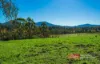 1811 Booral Road, Girvan, NSW 2425-Image