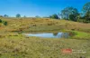 1811 Booral Road, Girvan, NSW 2425-Image