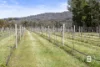 1819 Sunraysia Highway, Redbank, Vic 3477-Image