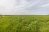 18462 Princes Highway, Kingston Se, SA 5275-Image