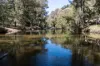 1859 Sylvia Vale Road, Binda, NSW 2583-Image