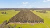 186 Verges Lane, Whroo, Vic 3612-Image