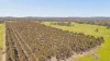 186 Verges Lane, Whroo, Vic 3612-Image