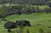 1863 Sarina Homebush Road, Oakenden, Qld 4741-Image