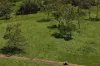 1863 Sarina Homebush Road, Oakenden, Qld 4741-Image