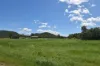 1863 Sarina Homebush Road, Oakenden, Qld 4741-Image