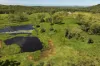 1863 Sarina Homebush Road, Oakenden, Qld 4741-Image