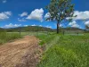 1863 Sarina Homebush Road, Oakenden, Qld 4741-Image