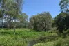 1863 Sarina Homebush Road, Oakenden, Qld 4741-Image