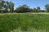 1863 Sarina Homebush Road, Oakenden, Qld 4741-Image