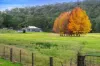 187 Arthur Drive, Putty, NSW 2330-Image