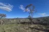 187 Westwood Road, Gungal, NSW 2333-Image