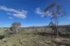 187 Westwood Road, Gungal, NSW 2333-Image