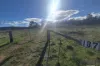 187 Westwood Road, Gungal, NSW 2333-Image