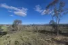 187 Westwood Road, Gungal, NSW 2333-Image