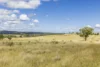 1872 Reedy Creek Road, Tenterfield, NSW 2372-Image