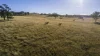 1872 Reedy Creek Road, Tenterfield, NSW 2372-Image