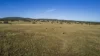 1872 Reedy Creek Road, Tenterfield, NSW 2372-Image