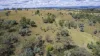 1872 Reedy Creek Road, Tenterfield, NSW 2372-Image