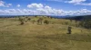 1872 Reedy Creek Road, Tenterfield, NSW 2372-Image