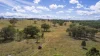 1872 Reedy Creek Road, Tenterfield, NSW 2372-Image