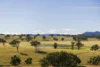 1872 Reedy Creek Road, Tenterfield, NSW 2372-Image