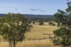 1872 Reedy Creek Road, Tenterfield, NSW 2372-Image