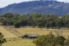 1872 Reedy Creek Road, Tenterfield, NSW 2372-Image