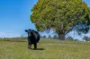 1873 Peelwood Road, Laggan, NSW 2583-Image