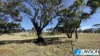 188 Foothills Road, Tumby Bay, SA 5605-Image