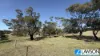 188 Foothills Road, Tumby Bay, SA 5605-Image