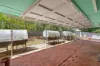 19 Lancelot Drive, Daw Park SA 5041-Image