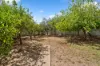 19 Lancelot Drive, Daw Park SA 5041-Image