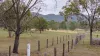 190 Tableland Road, Taunton, Qld 4674-Image