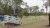 190 Tableland Road, Taunton, Qld 4674-Image